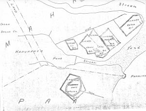 19th century map that shows the cave as belonging to Nahuma, and Keahikuni owning property across the stream